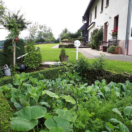 Ferienwohnung Huegelhaus Plütscheid Εξωτερικό φωτογραφία